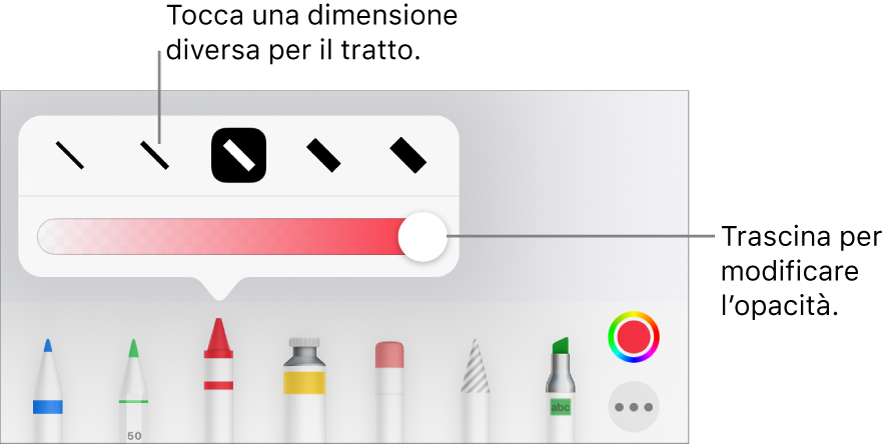 Controlli per scegliere una dimensione tratto e cursore per regolare l’opacità.