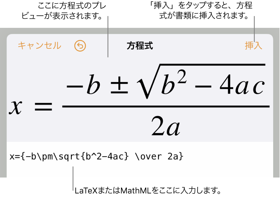 「方程式」ダイアログ。LaTeXコマンドを使用して書き込まれた二次方程式の解の公式が表示され、その上に公式のプレビューが表示されています。