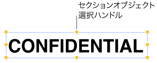 選択ハンドルのあるオブジェクト。