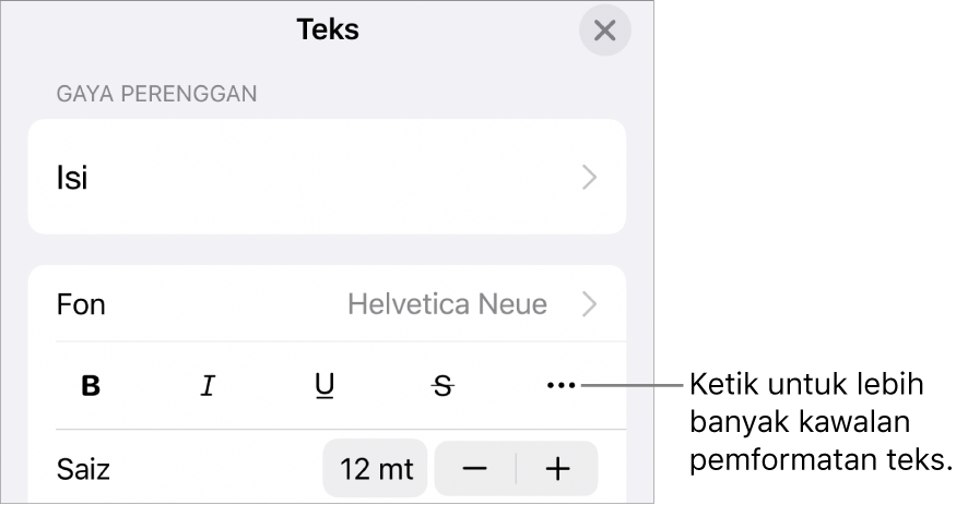 Tab Teks kawalan Format, dengan petak bual ke butang Lebih Banyak Pilihan Teks.