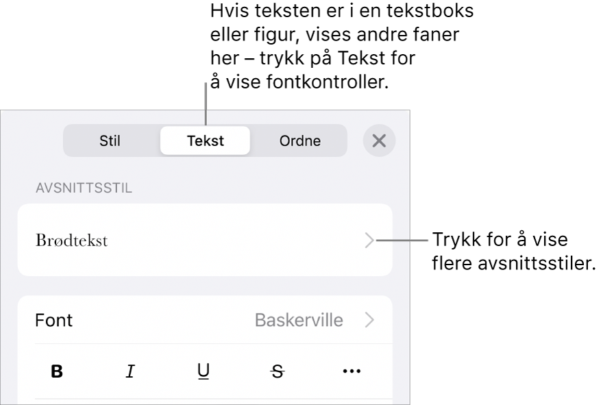 Format-menyen som viser tekstkontroller for å angi avsnitts- og tegnstiler, font, størrelse og farge.