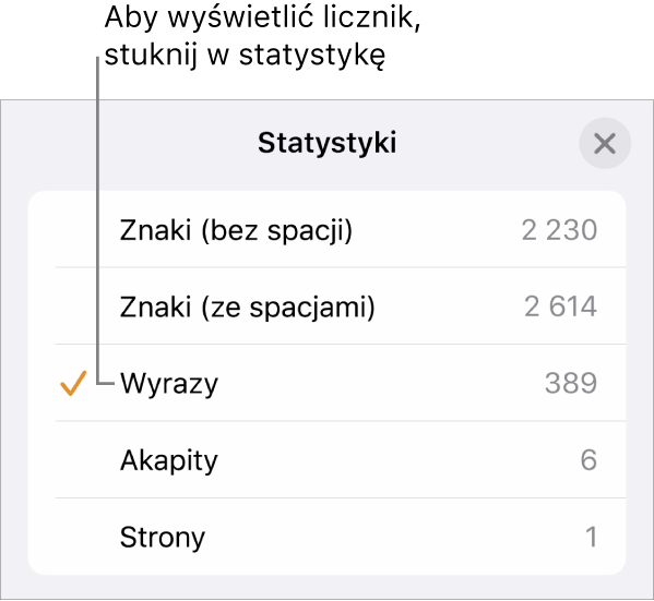 Menu Statystyki zawierające opcje pozwalające na wybranie wyświetlania liczby znaków ze spacjami i bez spacji, liczby wyrazów, liczby akapitów oraz liczby stron.