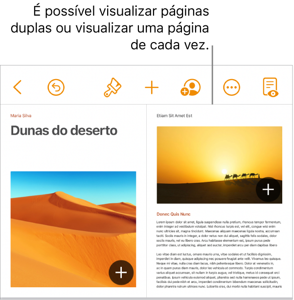 Um documento com páginas visualizadas como páginas duplas.