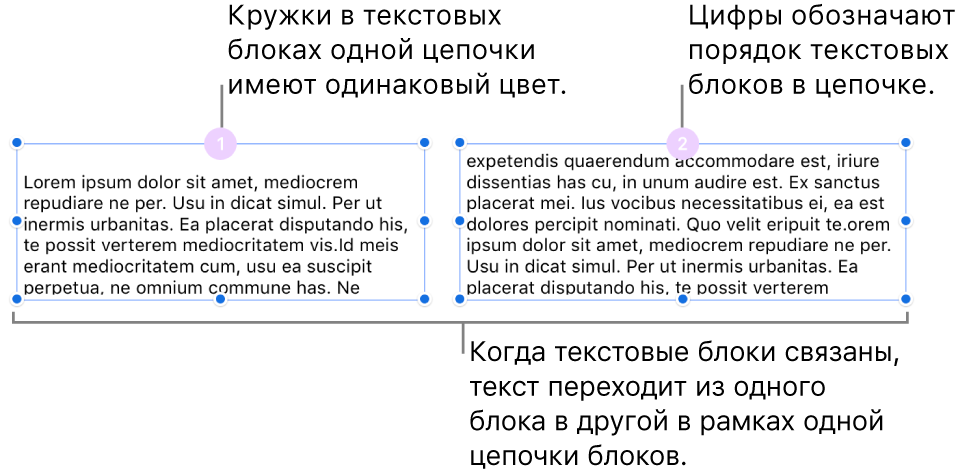 Два текстовых блока с лиловыми кружками вверху и числами 1 и 2 в кружках.