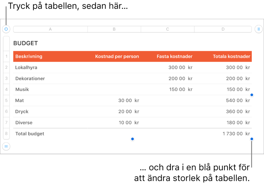 En markerad tabell med blå punkter som används till att ändra storleken.