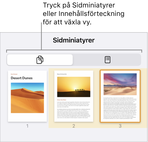 Sidminiatyrvyn med sidminiatyrer för varje sida. Längst ned på skärmen finns knapparna Sidminiatyrer och Innehållsförteckning.