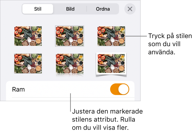 Fliken Stil med bildstilar överst och knappen Stilalternativ längst ned.