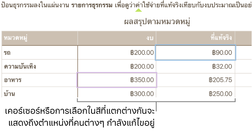 เคอร์เซอร์และสิ่งที่เลือกในสีที่แตกต่างกันแสดงถึงตำแหน่งที่แต่ละคนแก้ไขอยู่