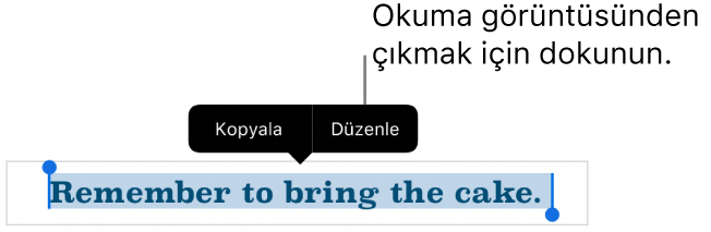 Bir cümle seçilir, üstünde Kopyala ve Düzen düğmeleri ile bağlamsal menü bulunur.