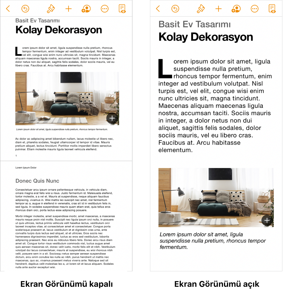 Aynı Pages belgesinin biri Ekran Görünümü açık ve biri Ekran Görünümü kapalı olarak iki görünümü.