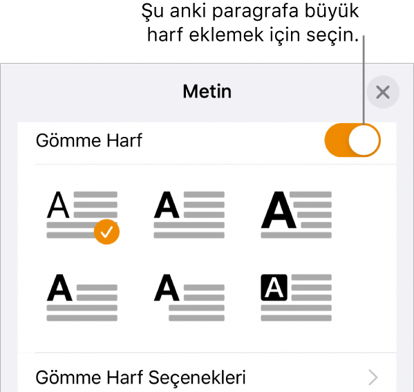 Metin menüsünün en altında yer alan İlki Büyük Harf denetimleri.