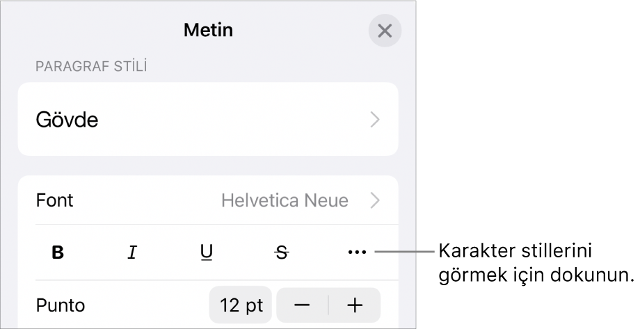 Kalın, İtalik, Altı Çizgili, Üstü Çizgili ve Daha Fazla Metin Seçeneği düğmeleri ile Biçim denetimleri.
