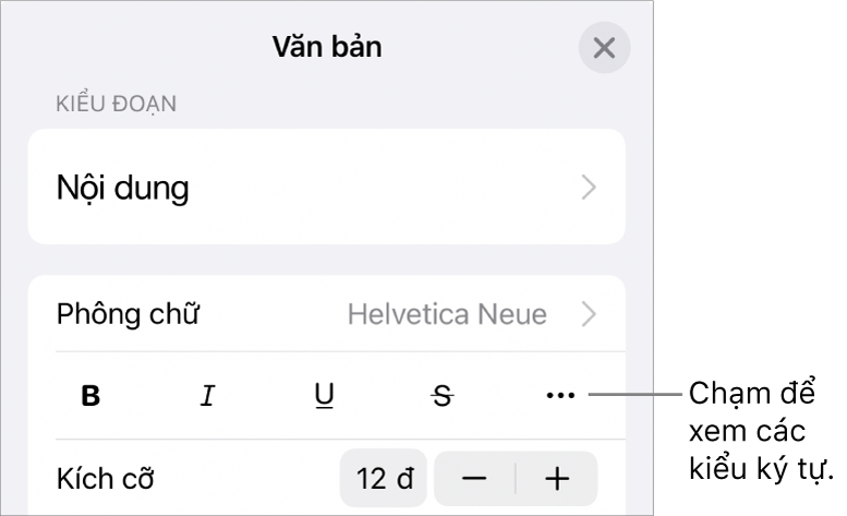 Các điều khiển Định dạng với các nút In đậm, In nghiêng, Gạch chân, Gạch ngang và Tùy chọn văn bản khác.