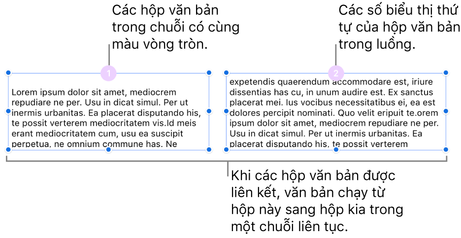 Hai hộp văn bản có vòng tròn màu tía ở trên đầu và các số 1 và 2 trong vòng tròn.