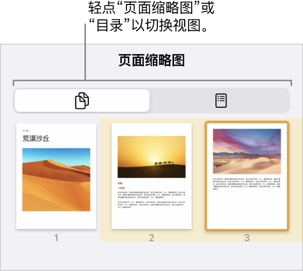 “页面缩略图”视图，包含每页的缩略图图像。屏幕底部是“页面缩略图”按钮和“目录”按钮。