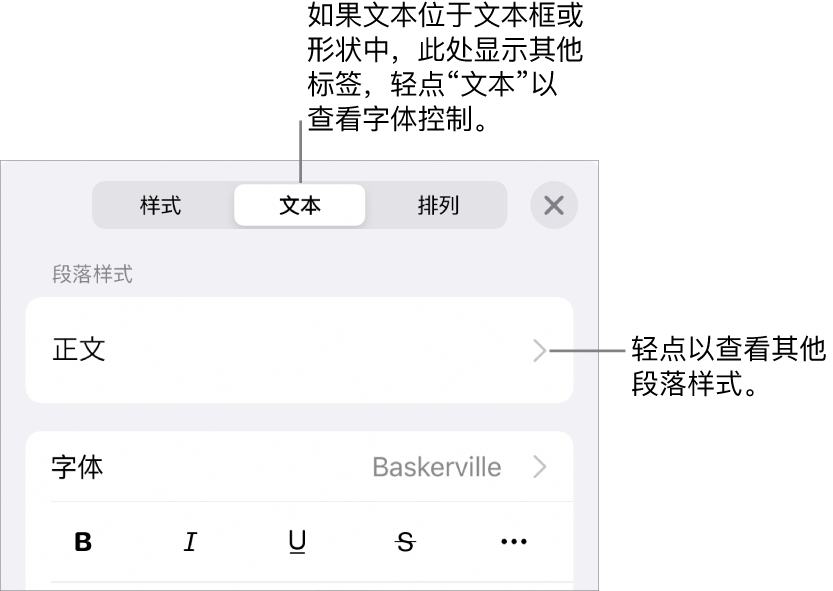 显示文本控制的“格式”菜单，用于设定段落和字符样式、字体、大小和颜色。