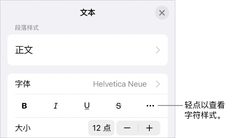 “格式”控制包括“粗体”、“斜体”、“下划线”、“删除线”和“更多文本选项”按钮。