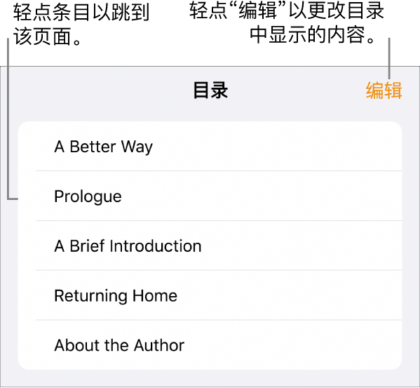 目录视图，列出了小标题。右上角是“编辑”按钮，底部是“页面缩略图”和“目录”按钮。