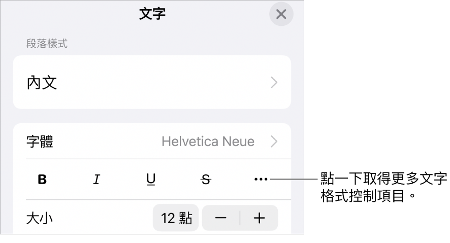 「格式」控制項目的「文字」分頁，附有文字説明指向「更多文字選項」按鈕。