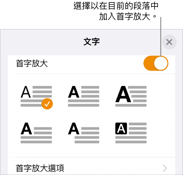 「首字放大」控制項目位於「文字」選單底部。