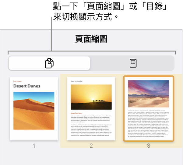 「頁面縮圖」顯示方式中包含每一頁的縮圖影像。「頁面縮圖」按鈕和「目錄」按鈕位於螢幕底部。