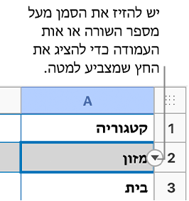 מספר השורה בטבלה נבחר ומופיע חץ למטה מצידו הימני.