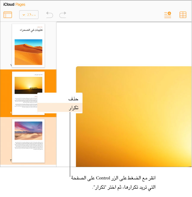 الصور المصغرة للصفحة في الشريط الجانبي الأيمن، مع تمييز الصفحة المحددة باللون البرتقالي الداكن وصفحة أخرى في نفس القسم باللون البرتقالي الفاتح.