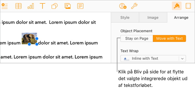 Et integreret billede i brødteksten er valgt, og knappen Flyt til side er synlig under fanen Arranger i indholdsoversigten.