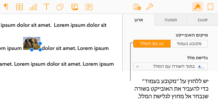 תמונה בשורה נבחרת בגוף המסמך והכפתור "מקובע בעמוד" מוצג בלשונית "ארגון" בסרגל הכלים.