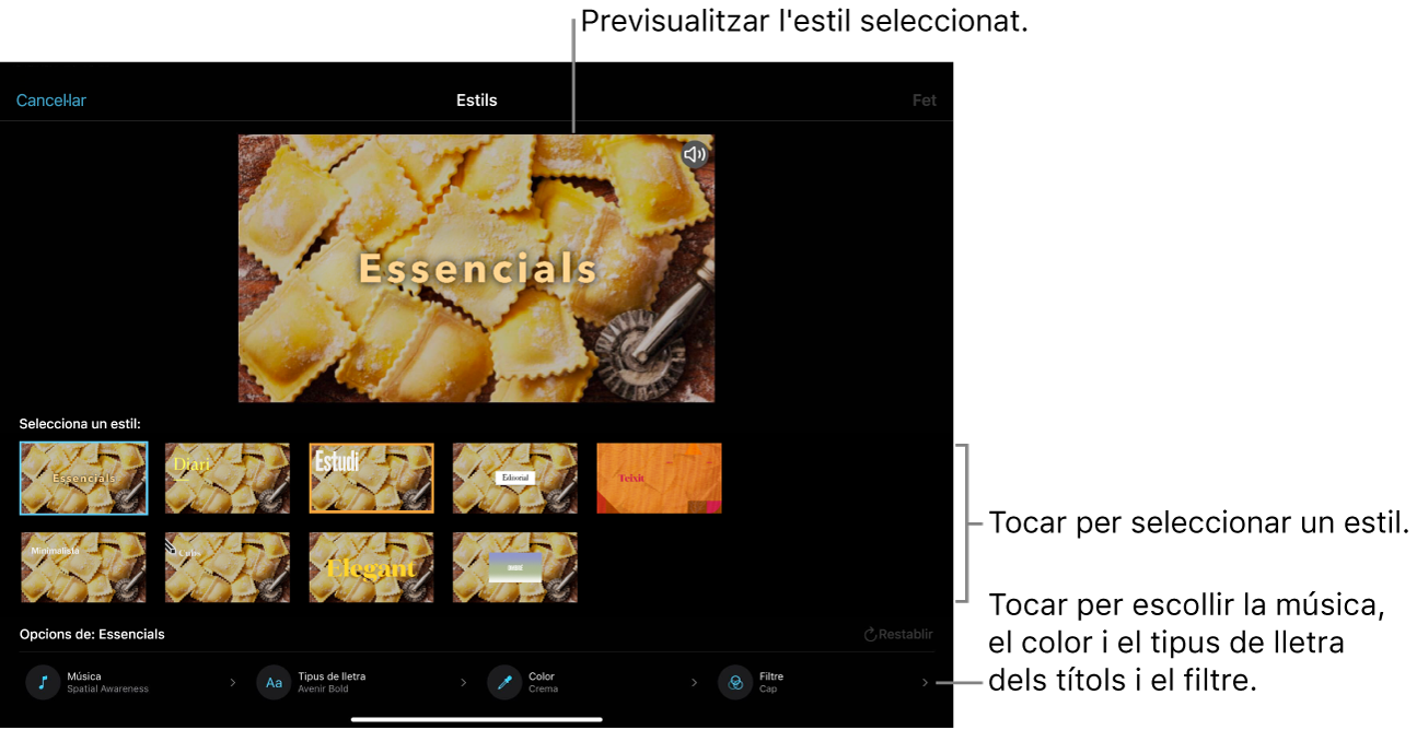  El visor mostra una previsualització de l'estil seleccionat i les opcions d'estil a sota. Els botons per afegir música, seleccionar el color i el tipus de lletra dels títols i aplicar un filtre a la part inferior de la pantalla.
