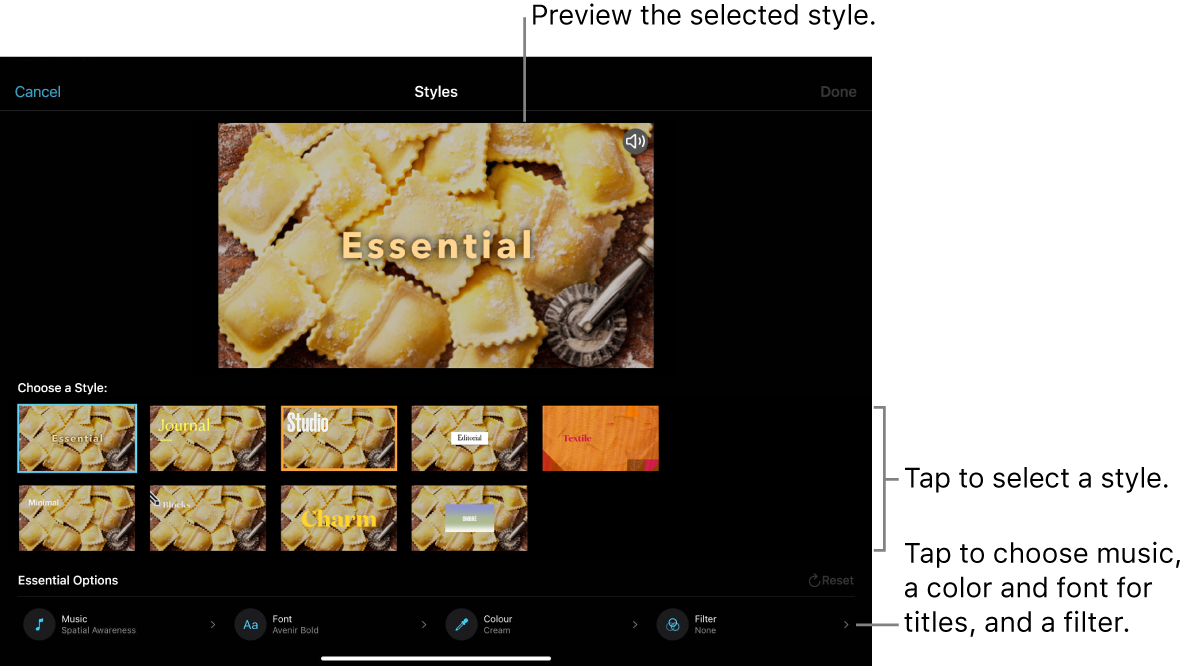  The viewer showing a preview of a selected style, with style options below. Buttons for adding music, selecting a colour and font for titles and adding a filter are at the bottom of the screen.