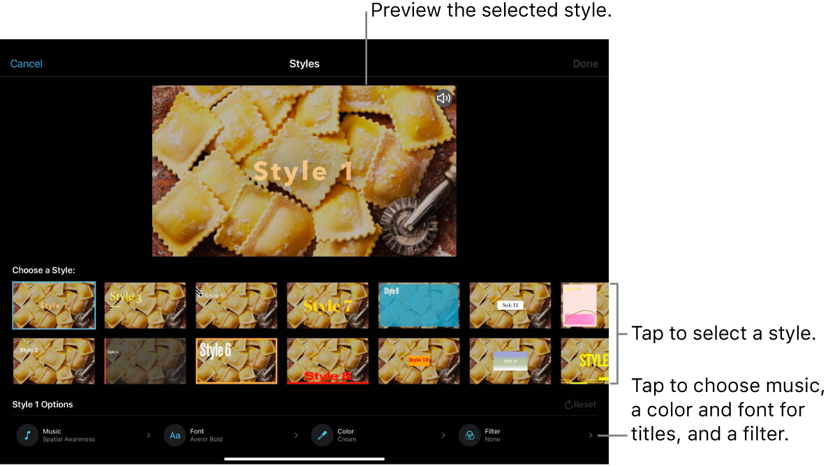  The viewer showing a preview of a selected style, with style options below. Buttons for adding music, selecting a color and font for titles, and adding a filter are at the bottom of the screen.
