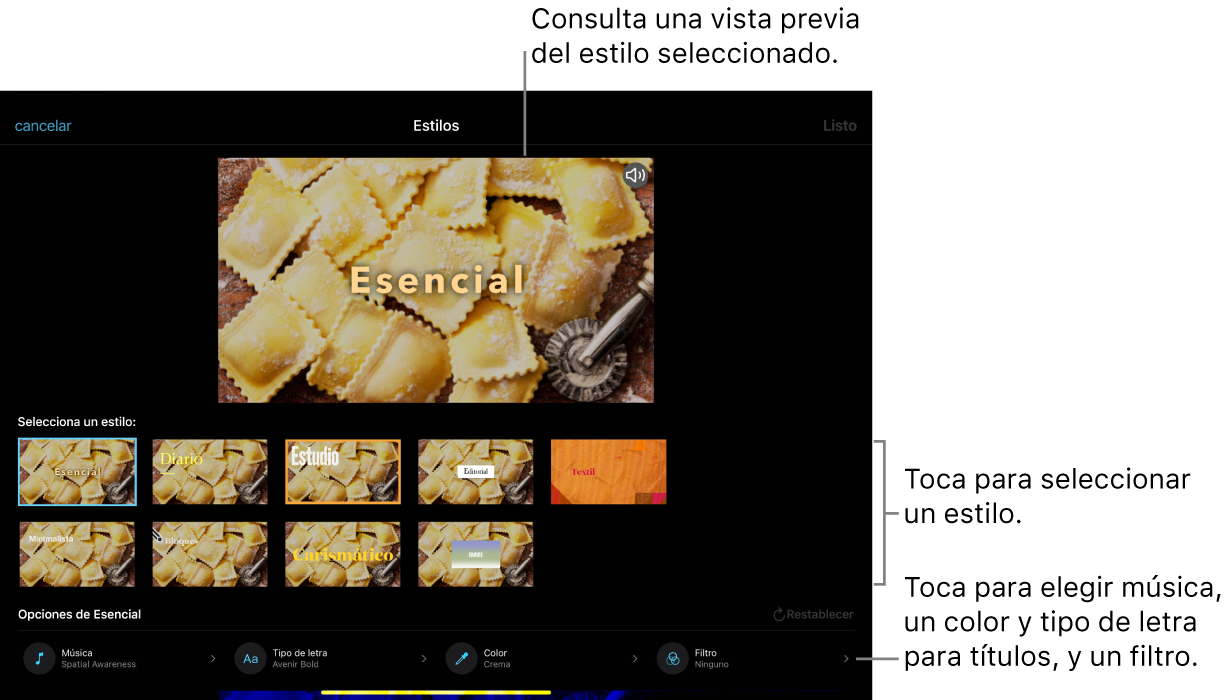  El visor mostrando una vista previa de un estilo seleccionado con opciones de estilo en la parte inferior. Los botones para agregar música, aplicar un filtro y seleccionar el color y tipo de letra de los títulos se encuentran en la parte inferior de la pantalla.
