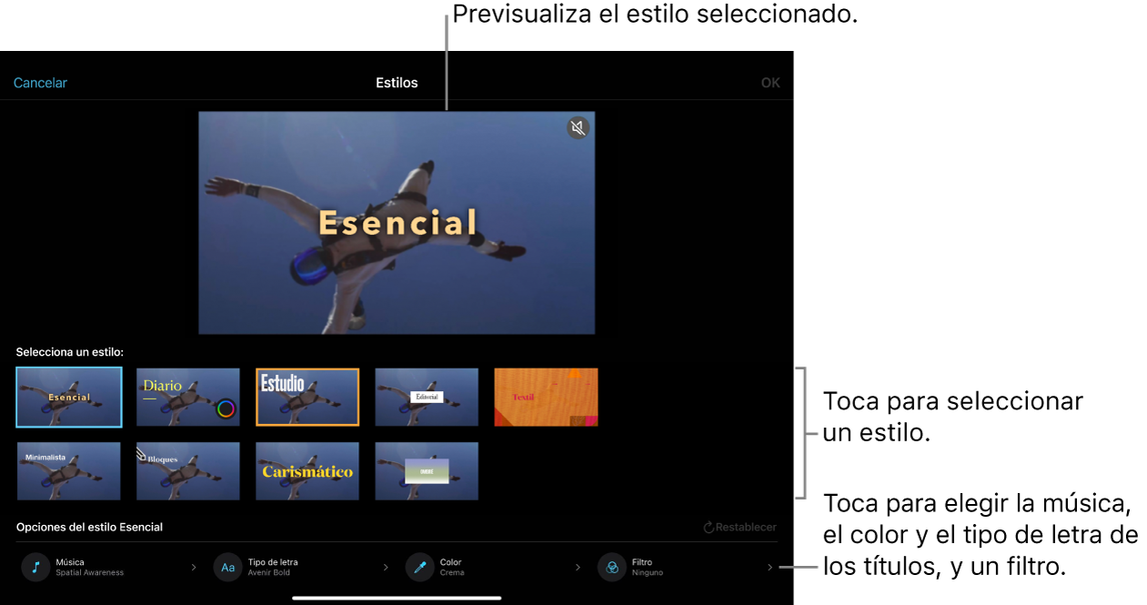 El visor muestra una previsualización del estilo seleccionado con las opciones de estilo debajo. Los botones para añadir música, seleccionar el color y el tipo de letra de los títulos, y aplicar filtros aparecen en la parte inferior de la pantalla.