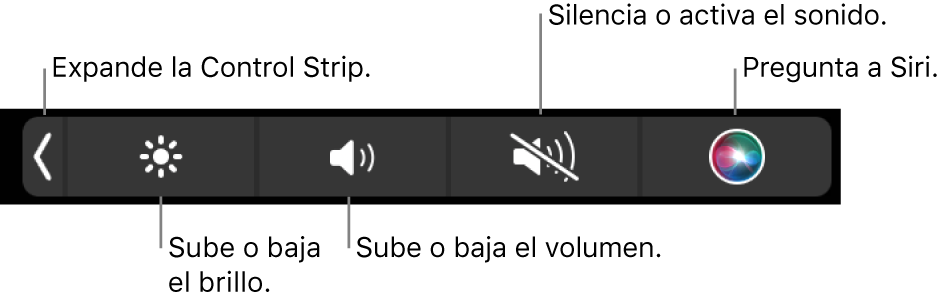 La Control Strip contraída incluye botones, de izquierda a derecha, para expandir la Control Strip, aumentar o reducir el brillo de la pantalla y el volumen, activar o desactivar el sonido, y utilizar Siri.