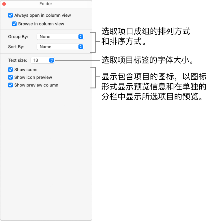 文件夹的分栏视图选项。