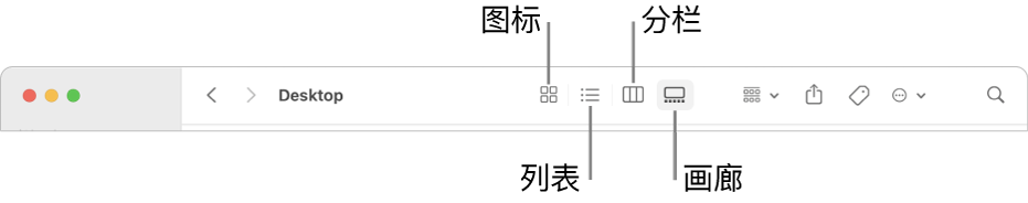 “访达”窗口顶部显示文件夹的“显示”选项按钮。