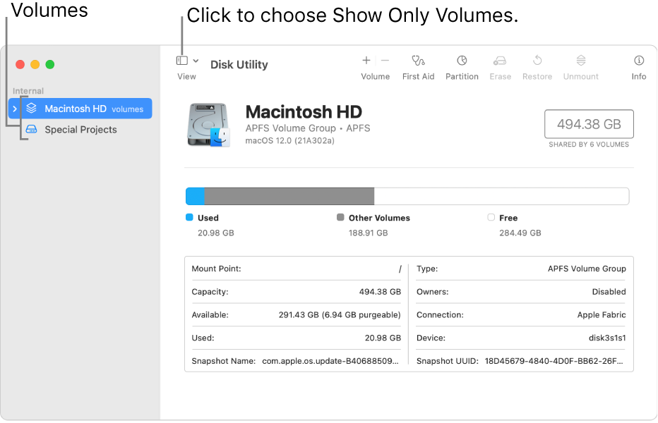 A Disk Utility window in show only volumes view.