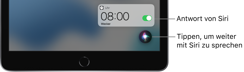 Siri auf dem Home-Bildschirm. Eine Mitteilung der App „Uhr“ zur Bestätigung, dass der Wecker auf 8:00 Uhr eingestellt wurde. Die Taste unten rechts dient dazu, die Konversation mit Siri fortzusetzen.