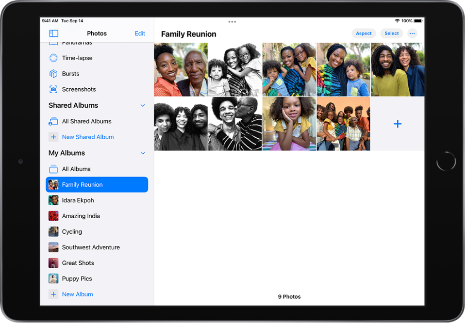The Photos sidebar is open on the left side of the screen. Under the My Albums heading, the album titled Family Reunion is selected. The rest of the iPad screen is filled with photos and videos from the Family Reunion album, displayed in a grid.