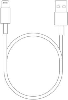 The Lightning to USB Cable.