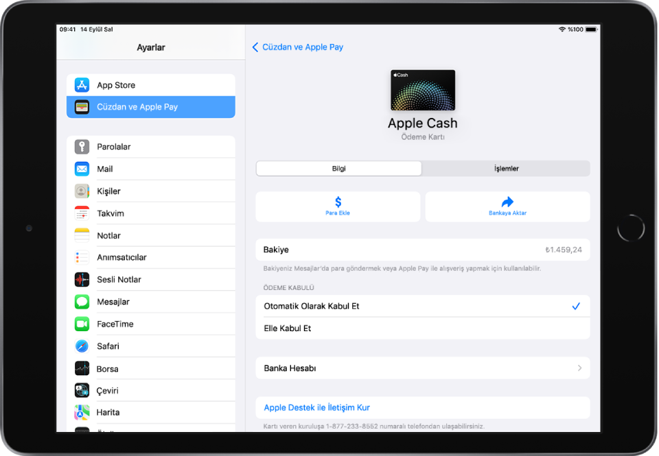 Bakiyenin sağ üstte gösterildiği Apple Cash kartının ayrıntılar ekranı.