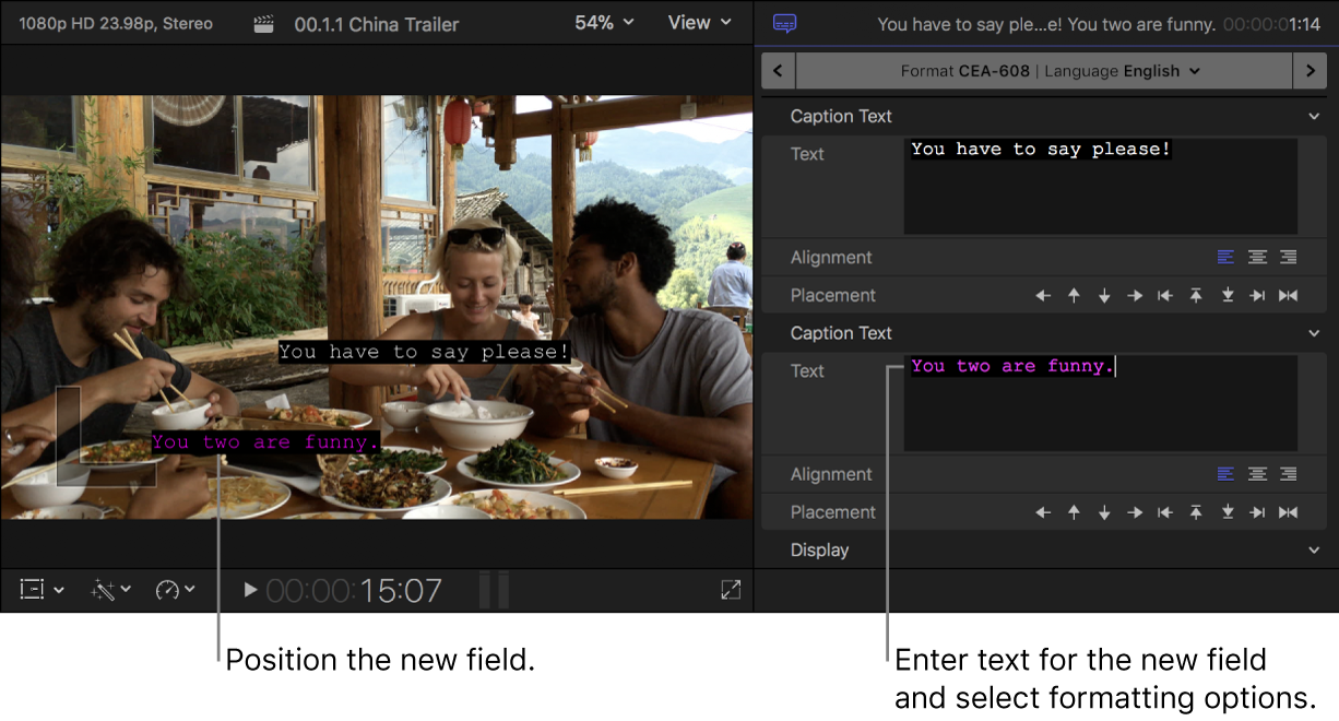 The viewer and the Caption inspector showing a caption with two text fields