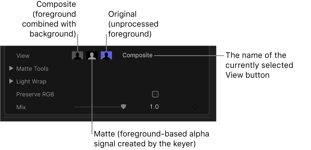 The View controls in the Video inspector