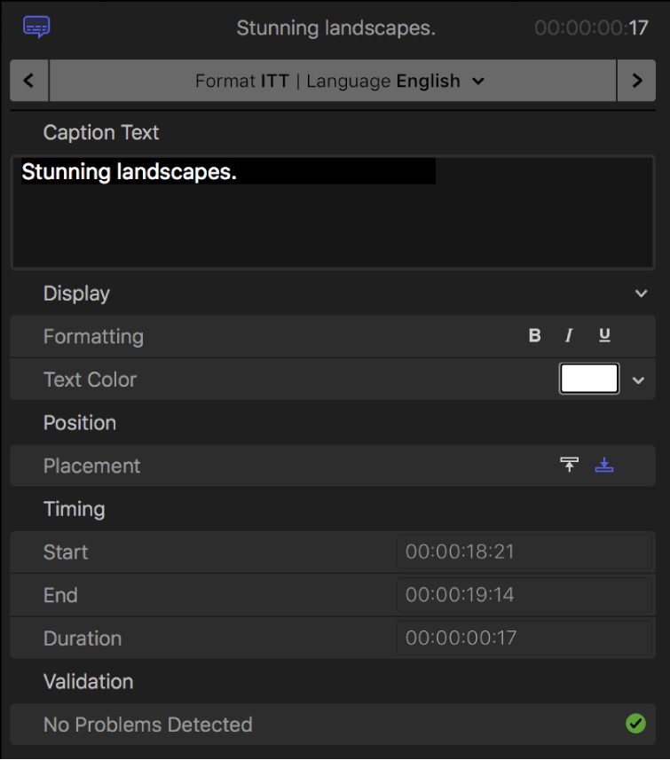 The Caption inspector showing caption text formatting controls for the iTT format