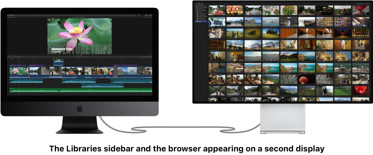 보조 디스플레이에 표시된 보관함 사이드바 및 브라우저