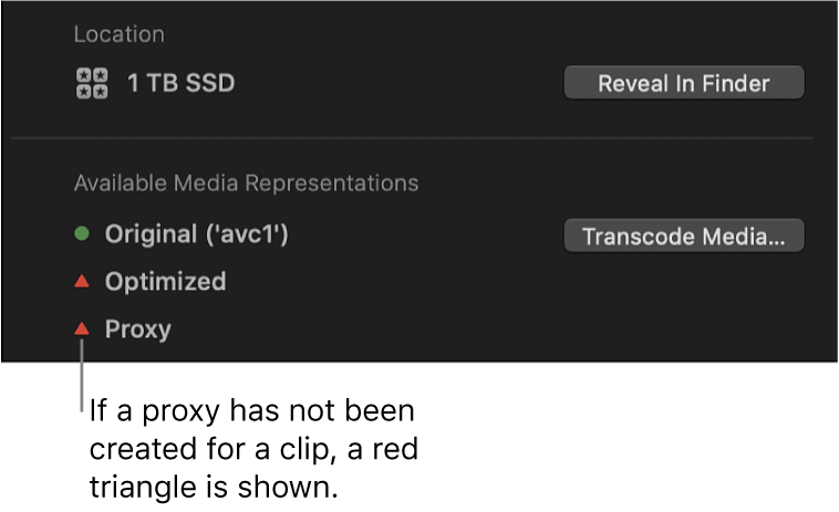 선택된 클립에 대한 프록시 파일이 없음을 나타내는 빨간색 삼각형이 표시된 정보 인스펙터