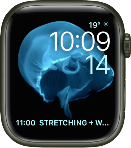 Apple Watch Zifferblatter Und Ihre Funktionen Apple Support De