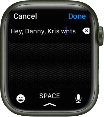 A text entry screen with a cursor between two letters in a misspelled word. The Delete button is to the right of the text. Emoji, Space, and Dictate buttons are at the bottom.