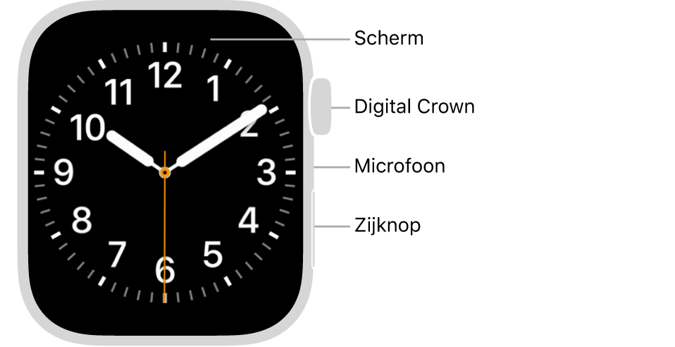 Jouw Apple Watch - Apple Support (NL)